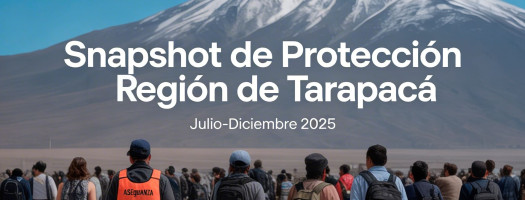 Fundación Madre Josefa presenta Snapshot de Protección en Tarapacá