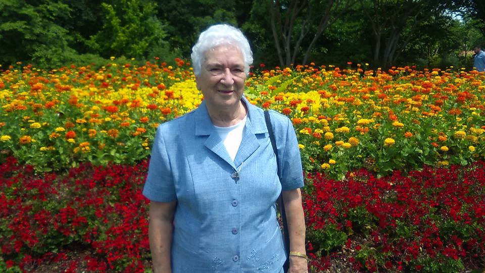 499400821 4233376113565422 7673318535240238902 n