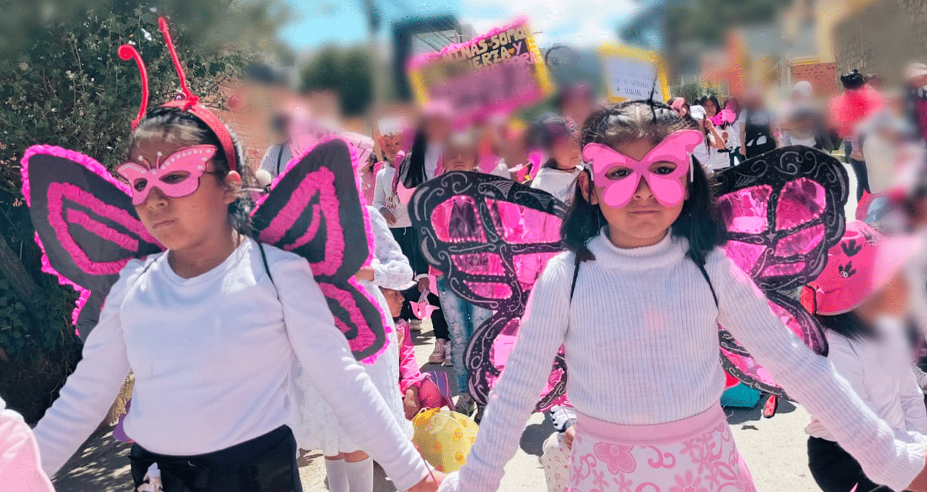 Revolución Mariposa La Paz